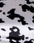 Dalmatian Black and White