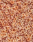 Small Flower Brown