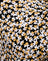 Spring Fling Floral Black