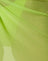Jackfruit Green