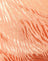 Satin Zebra Cantaloupe