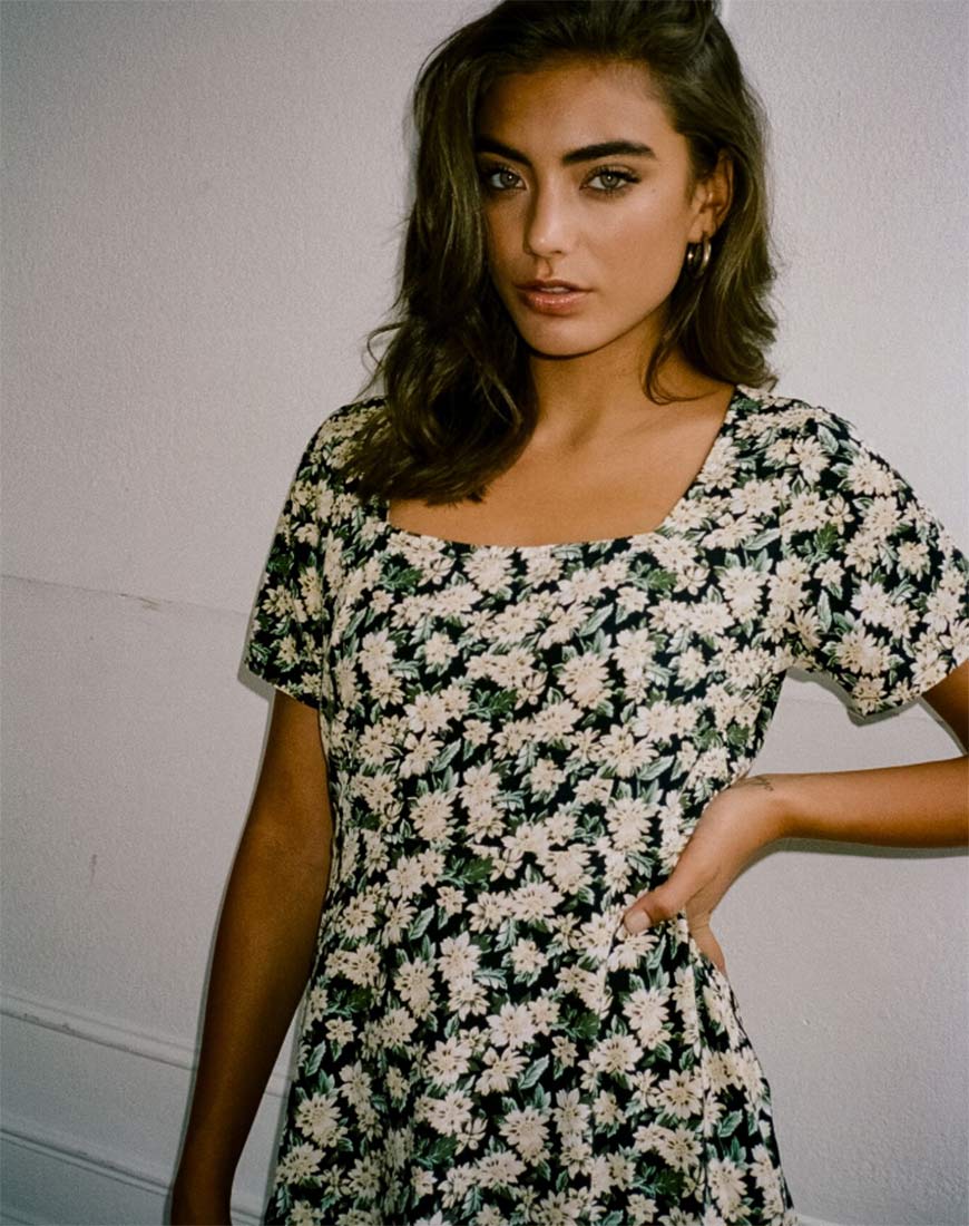 Image of Peky Skater Dress in Aster Black