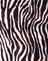 Zebra Vertical