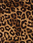 Night Leopard Brown