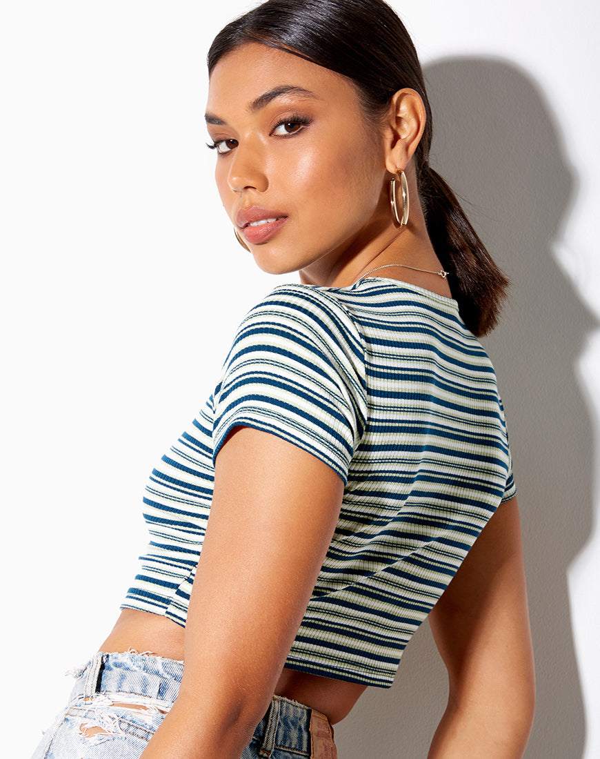 Image of Tindy Crop Top in Dark Green Light Green and White