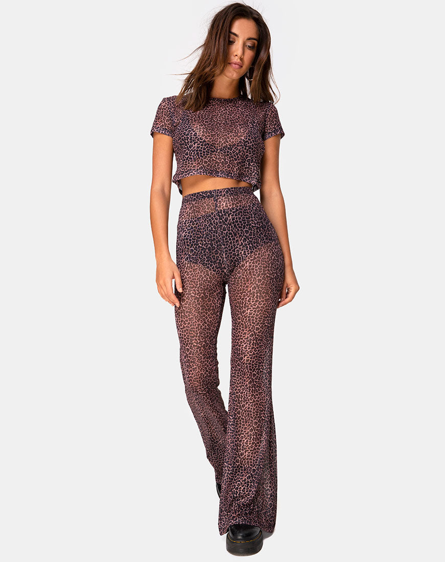 Image of Herlom Flare Trouser in Rar Leopard Mesh