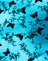 Butterfly Bloom Blue