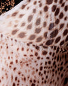 Mesh Sand Leopard