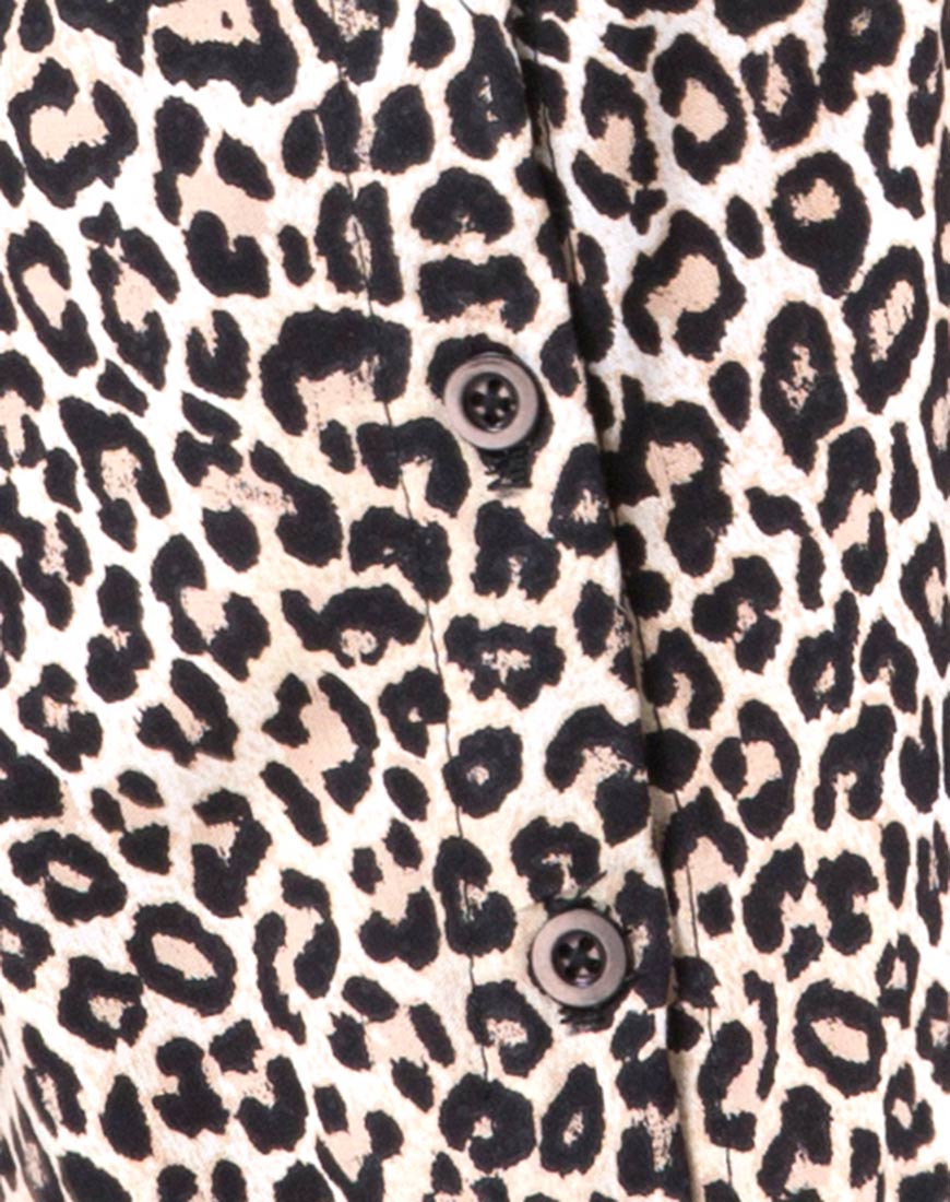 Image of Zavacca Dress in Rar Leopard