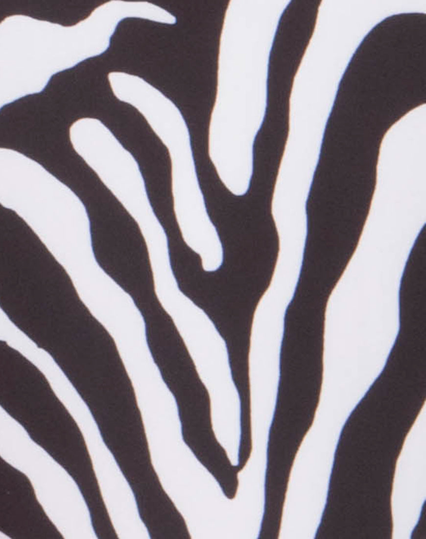 Image of Monique Plunge Swimsuit in Zebra