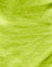 Satin Lime Green