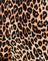 True Leopard